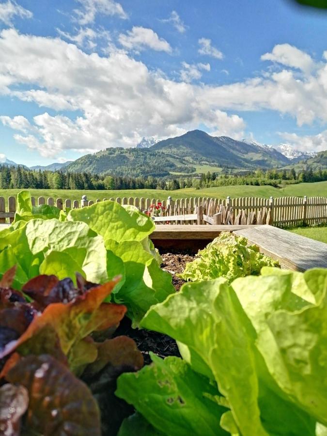 Landhaus Bergblick Kössen Eksteriør billede